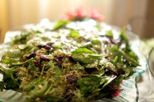 Veg and Salad Buffet - Alfalfa and Spinach Salad with Roasted Beets